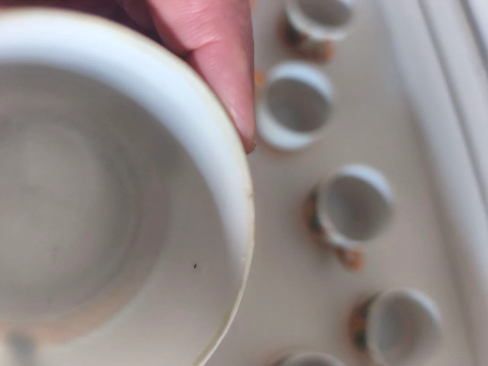 9 tasse chinoises dài nippon  – photo 9
